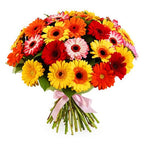 Sunburst Gerbera Joy Bouquet